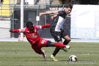 Siena-Ancona Matelica: modalità richiesta accrediti, tessere federali, diversamente abili - ACN Siena