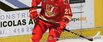 LHJMQ: un séjour à domicile très important pour le Drakkar