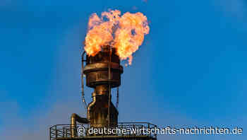 EILMELDUNG: Ampel-Politiker einigen sich auf schnellstmöglichen Importstopp für russisches Öl