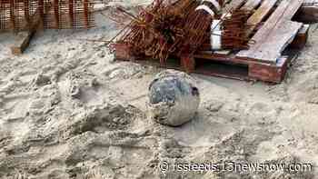 Construction crews find 'surprise' cannonball at Willoughby Spit beach