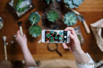 Marketing: Influencer als Botschafter für Blumen und Pflanzen - TASPO