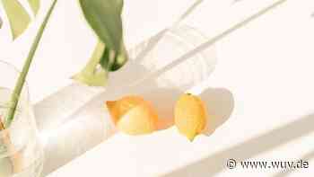 Nachhaltigkeit ist nur eines von vielen Kauf-Kriterien | Special | Green Marketing Days - W&V - Werben & Verkaufen