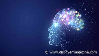 What’s Happening in Your Brain Moments Before Death?