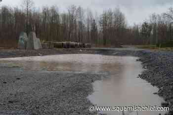 Why are trees getting cleared by Squamish's Sandman Hotel? - Squamish Chief