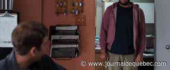 Rodley Pitt crève l’écran dans «Manuel de la vie sauvage»