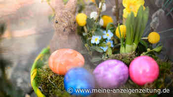 Lieferengpässe bei Aldi, Lidl und Co. vor Ostern – Ausgerechnet Eier drohen knapp zu werden