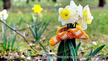 Temperatursturz vor Ostern? Saharastaub könnte für Frühlings-Wende sorgen