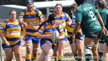 Panorama Platypi league talents now showcasing their skills as Bathurst Bulldogs - Western Advocate