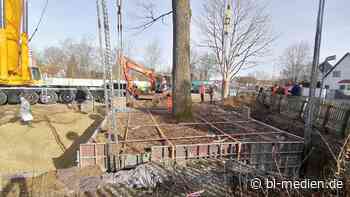Naturschutz am Bau - Meister Wohnbau lässt 100-jährige Eiche verpflanzen - B_I galabau