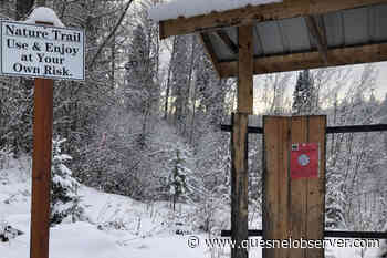 Upgrades coming to Quesnel's West Fraser Timber Park trails – Quesnel Cariboo Observer - Quesnel - Cariboo Observer