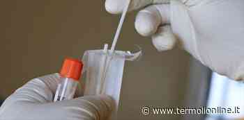 Termoli, Isernia, Campobasso: Covid: nel Molise 611 guariti e 449 contagi - Termoli Online