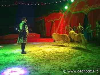 Feste pasquali con il circo Henry Niuman a Santa Maria Capua Vetere - Dea Notizie