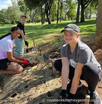 Roedean learners get their hands dirty at Zoo Lake - Rosebank Killarney Gazette