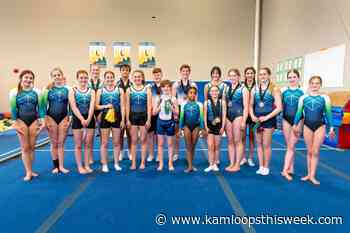 Kamloops Gymnastics and Trampoline Centre athletes reach podium at provincials - Kamloops This Week
