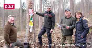 Lehrreicher Spaziergang im Schlangenbader Forst - Wiesbadener Kurier
