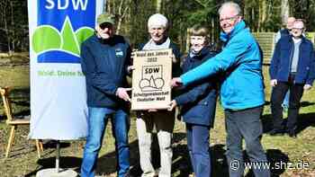 Nachhaltige Forstwirtschaft: Schutzgemeinschaft Deutscher Wald kürt Bohmstedter Forst zum Wald des Jahres | shz.de - shz.de