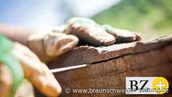 Müssen wir an unseren Ölschiefer bei Braunschweig ran? - Braunschweiger Zeitung