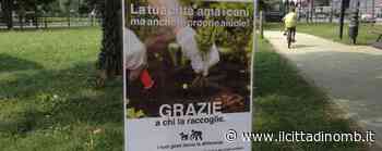 Riciclo e città più pulita, a Lissone l'esempio lo daranno i bambini - Il Cittadino di Monza e Brianza