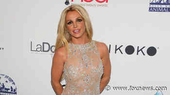 Britney Spears says she's 'having a baby'