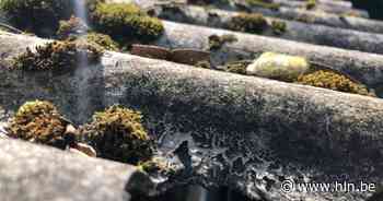 Asbest elke dag welkom op recyclagepark | Nazareth | hln.be - Het Laatste Nieuws