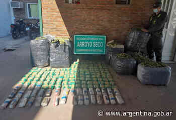 Despachan hacia Buenos Aires 250 kilos de hojas coca - Argentina.gob.ar Presidencia de la Nación