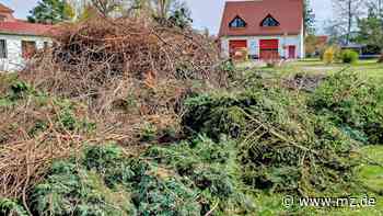 Landkreis Wittenberg freut sich auf viele Osterfeuer - trotz Corona und recht trockener Wälder - Mitteldeutsche Zeitung