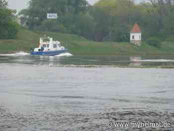 Auch sie sorgen für Sicherheit ! - Lutherstadt Wittenberg - myheimat.de - myheimat.de