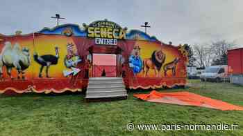 Le cirque Seneca pourra rester à Bois-Guillaume... même sans autorisation - Paris-Normandie