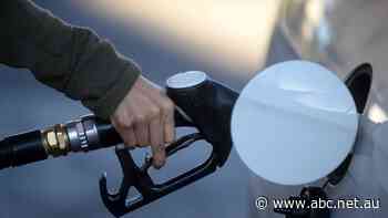 New Zealand hikes interest rates to 1.5pc, ASX lifts on surging oil price