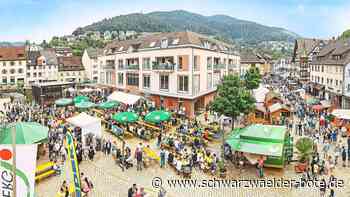 Stadtfest Hornberg - Voller Vorfreude auf das Stadtfest - Schwarzwälder Bote