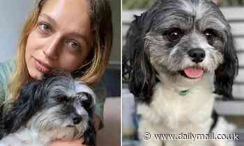 Gold Coast meth addict Liam Maxwell who killed flatmate's service dog Oliver is jailed - Daily Mail