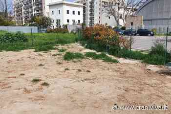 Parco di Villa Bini, de Simola (Italia in Comune): «Serve maggior decoro in quell'area» - TraniViva