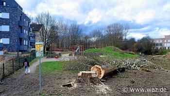Dirschauer Straße in Witten: Spielplatz nimmt bald Form an - WAZ News