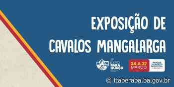 Itaberaba abre circuito nacional de exposição ranqueada de cavalos da raça Mangalarga. Evento acontece durante a Expoparaguaçu. - Prefeitura de Itaberaba (.gov)