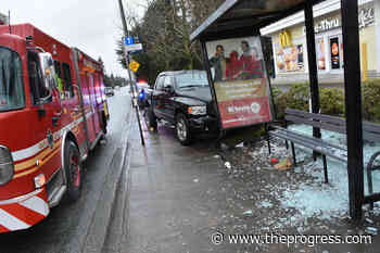 Driver pleads guilty to killing mom in Maple Ridge in 2018 – Chilliwack Progress - Chilliwack Progress