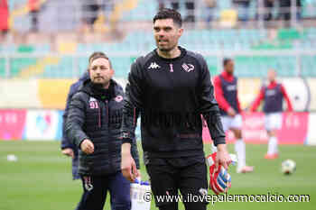 Pelagotti si opera, il Palermo in allarme. Può rientrare ai Playoff, le ultime - ilovepalermocalcio.com - Il Sito dei Tifosi Rosanero