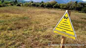 Valle del Sacco, prosegue il progetto Lindanet avviato nel 2019 a Colleferro - FrosinoneToday