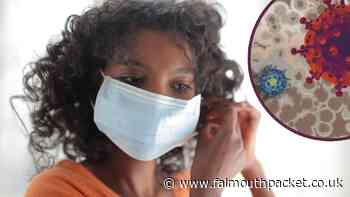 Coronavirus in Cornwall round up: Tuesday, April 12 - Falmouth Packet