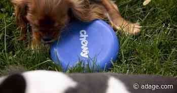 Chewy’s new CMO on having pets as customers and building brand growth