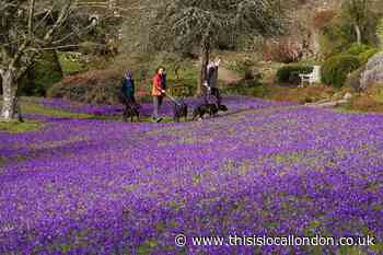 Easter holiday activities: National Trust events across the UK including Easter egg hunts