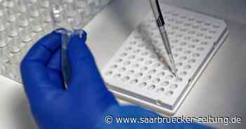 Corona aktuell im Kreis Neunkirchen : 462 weitere Corona-Fälle - Saarbrücker Zeitung