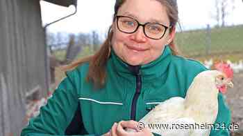 Bodyguards für Legehennen und Hühner, die für ihre Brüder mitverdienen