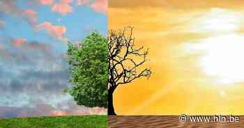 Werk mee aan het klimaatactieplan voor een gezond en duurzaam Linter! - Het Laatste Nieuws