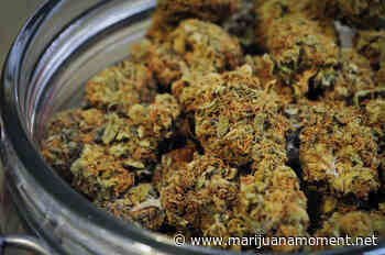 Kentucky Governor Explores Executive Action On Medical Marijuana Reform As House-Passed Bill Stalls - Marijuana Moment