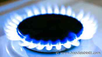 Folgen des Ukraine-Kriegs: Chefvolkswirte der Versicherer: Unsichere Gasversorgung ist größte Herausforderung für Wirtschaft - Handelsblatt