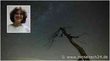 Kampf gegen den leuchtenden Umweltkiller: Neue Initiative im Landkreis Mühldorf