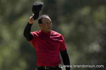 Tiger Woods' return to Masters a winner for TV networks - The Brandon Sun