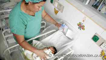 Zika virus explained: What are the symptoms?