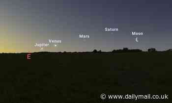 Saturn, Mars, Venus and Jupiter will line up in the pre-dawn sky this month