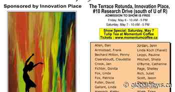 Aurora Art Guild Show and Sale - Regina | Globalnews.ca - Global News